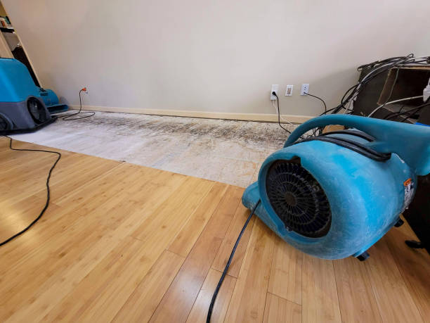 Professional Ceiling Water Damage Repair technician working in Starbuck, MN